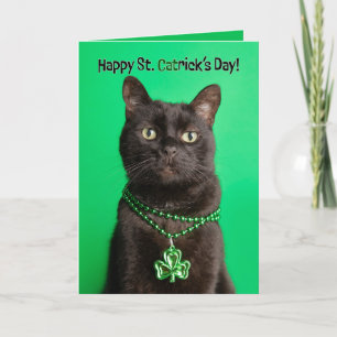 Cartes Pour Fêtes Annuelles Joyeuse St Patrick Day Day Chat dans Trèfle