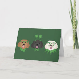 Cartes Pour Fêtes Annuelles Joyeuse St Patrick Maltipoo Chiens