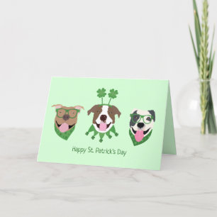 Cartes Pour Fêtes Annuelles Joyeuse St Patrick Pit Bull Dogs