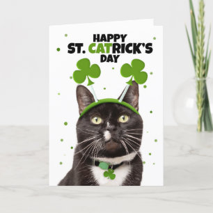 Cartes Pour Fêtes Annuelles Joyeuse St Patrick pour tout chat au bandeau