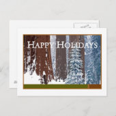 Cartes Pour Fêtes Annuelles Joyeuses Fêtes (Devant / Derrière)