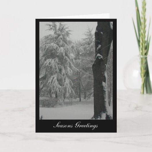 Cartes Pour Fêtes Annuelles Joyeuses Fêtes (Devant)