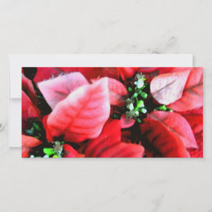 Cartes Pour Fêtes Annuelles Joyeuses fêtes_