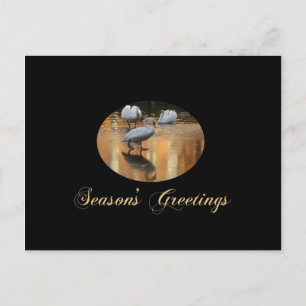 Cartes Pour Fêtes Annuelles Joyeuses Fêtes cygne