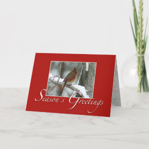 Cartes Pour Fêtes Annuelles Joyeuses Fêtes de Redbird