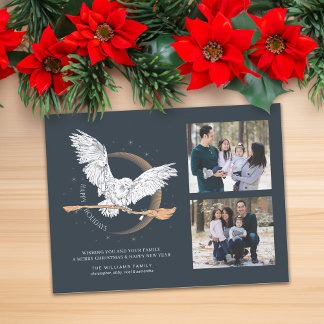 Cartes Pour Fêtes Annuelles Joyeuses Fêtes Livraison Hedwig | Photo de famille