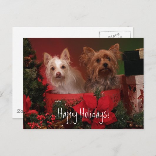 Cartes Pour Fêtes Annuelles Joyeuses Fêtes Yorkie et ses Amis (Devant / Derrière)