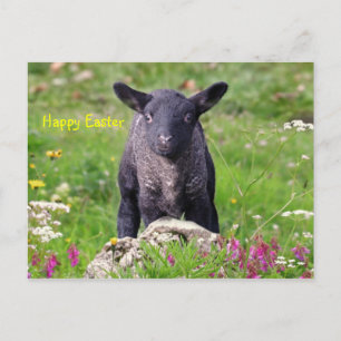 Cartes Pour Fêtes Annuelles Joyeuses Pâques