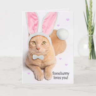Cartes Pour Fêtes Annuelles Joyeuses Pâques à tout joli chat roux lapin 