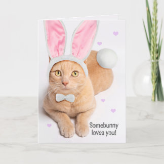 Cartes Pour Fêtes Annuelles Joyeuses Pâques à tout joli chat roux lapin