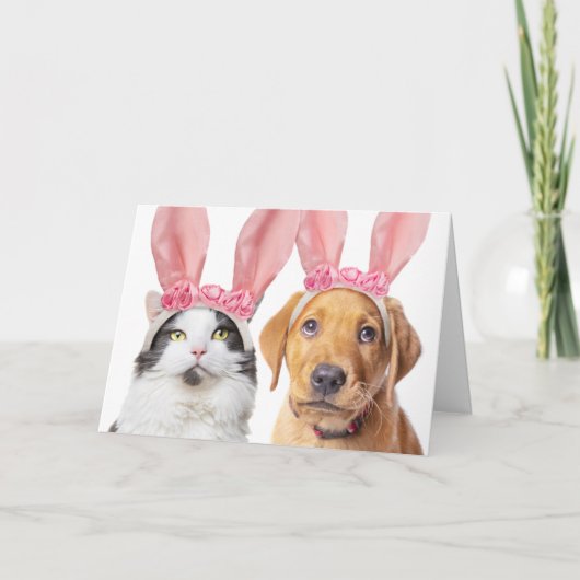 Cartes Pour Fêtes Annuelles Joyeuses Pâques Chat et Chien en Oreilles de Lapin (Devant)
