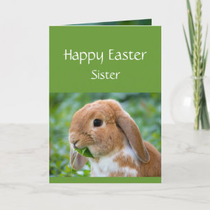 Cartes Pour Fêtes Annuelles Joyeuses Pâques Lapin Mignon Spéciale Sœur