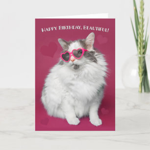 Cartes Pour Fêtes Annuelles Joyeux Anniversaire Belle Cute Chat en Lunettes de