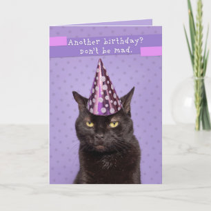 Cartes Pour Fêtes Annuelles Joyeux anniversaire Chat malheureux dans l'Humour 