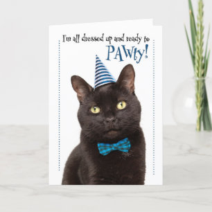 Cartes Pour Fêtes Annuelles Joyeux Anniversaire Chat Mignon avec Chapeau de Fê