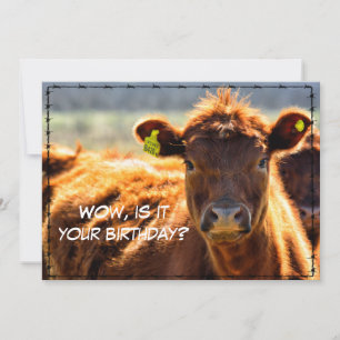 Cartes Pour Fêtes Annuelles Joyeux Anniversaire Country Mail Histoires De Ferm