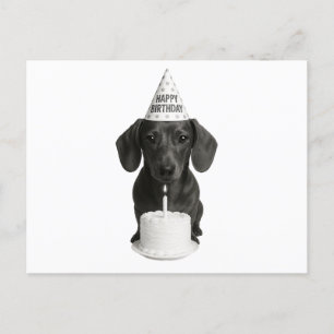 Cartes Pour Fêtes Annuelles Joyeux anniversaire Dachshund