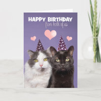 Joyeux anniversaire de nous deux chats mignons