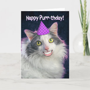 Cartes Pour Fêtes Annuelles Joyeux Anniversaire Drôle Chat Avec Smie Humaine
