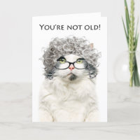 Joyeux Anniversaire Femme Chat en Gris Wig