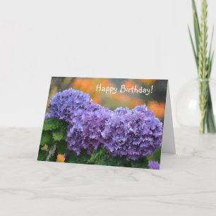 Cartes Pour Fêtes Annuelles Joyeux Anniversaire Hydrangea Violet Impressionnis