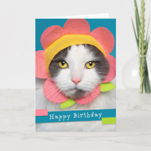 Cartes Pour Fêtes Annuelles Joyeux Anniversaire jolie Chat dans un Humour Casq