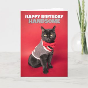 Cartes Pour Fêtes Annuelles Joyeux anniversaire pour lui mignon Humour chat