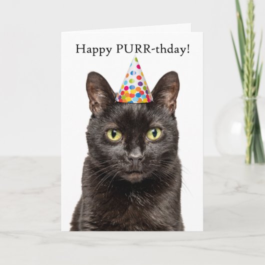 Cartes Pour Fêtes Annuelles Joyeux anniversaire pour n'importe qui Chat dans l (Devant)