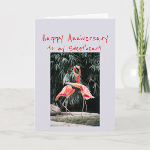Cartes Pour Fêtes Annuelles Joyeux Anniversaire Sweet Romantique Flamant rose 