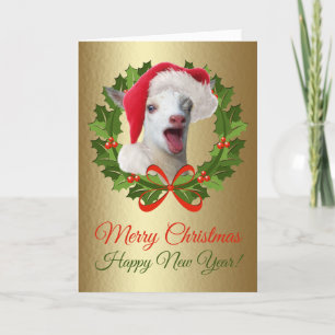Cartes Pour Fêtes Annuelles Joyeux bébé de Noël Nain Nigerian Goat Kid