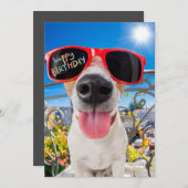 Cartes Pour Fêtes Annuelles Joyeux Birthday Dawg Dog dans les lunettes de sole (Devant / Derrière)
