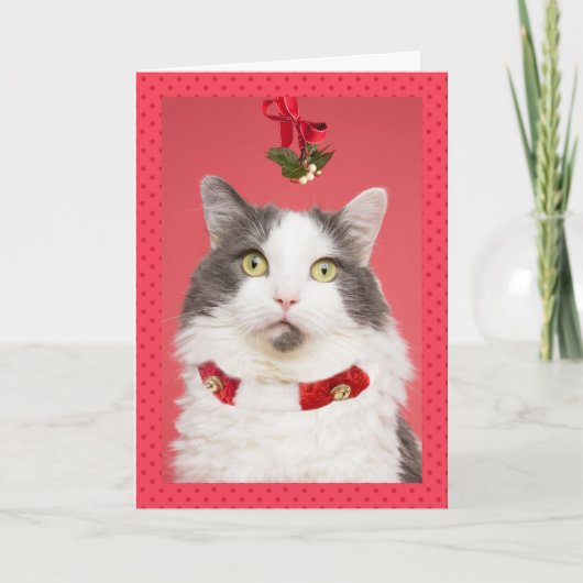 Cartes Pour Fêtes Annuelles Joyeux canard de Noël en haut Chat sous Mistletoe (Devant)