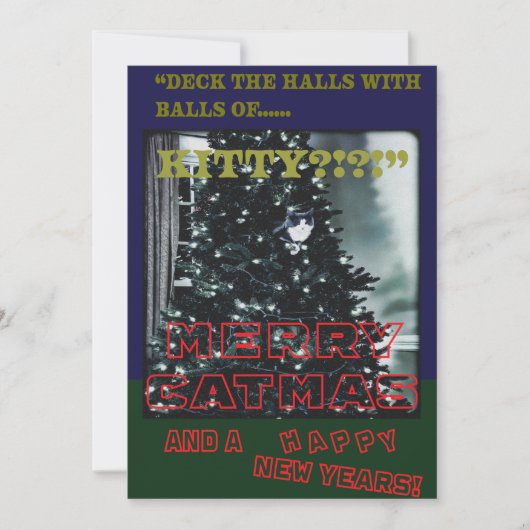 Cartes Pour Fêtes Annuelles Joyeux Cat Noël (Devant)