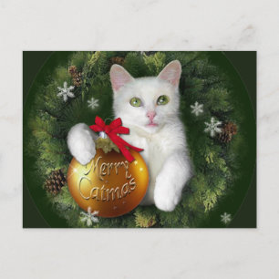 Cartes Pour Fêtes Annuelles Joyeux Cat Noël