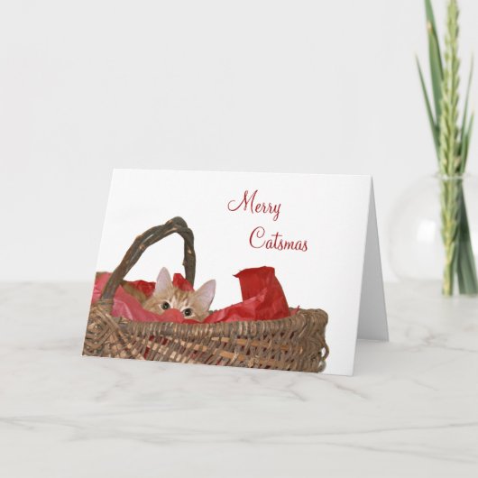 Cartes Pour Fêtes Annuelles Joyeux Catsmas (Devant)