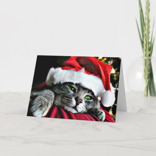 Cartes Pour Fêtes Annuelles Joyeux chat de Noël (Devant)