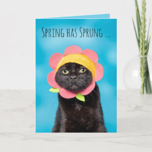 Cartes Pour Fêtes Annuelles Joyeux chat de Pâques mignonette en Humour Casquet