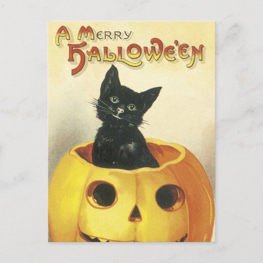 Cartes Pour Fêtes Annuelles Joyeux chat démodé de Halloween (Devant)