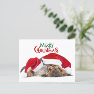 Cartes Pour Fêtes Annuelles Joyeux chat et chien de Noël