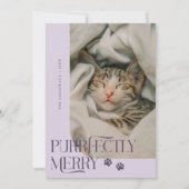 Cartes Pour Fêtes Annuelles Joyeux chat photo violet Noël (Devant)