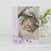 Cartes Pour Fêtes Annuelles Joyeux chat photo violet Noël (Debout devant)