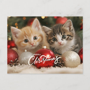 Cartes Pour Fêtes Annuelles Joyeux chatons de Noël et ornements
