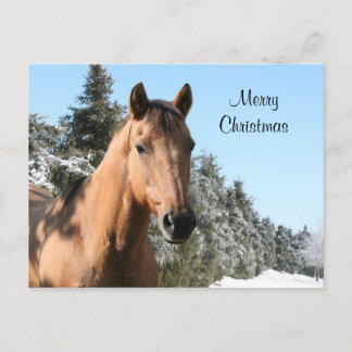 Cartes Pour Fêtes Annuelles Joyeux cheval de Noël
