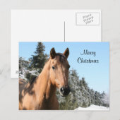 Cartes Pour Fêtes Annuelles Joyeux cheval de Noël (Devant / Derrière)