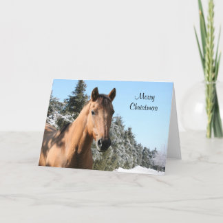 Cartes Pour Fêtes Annuelles Joyeux cheval de Noël