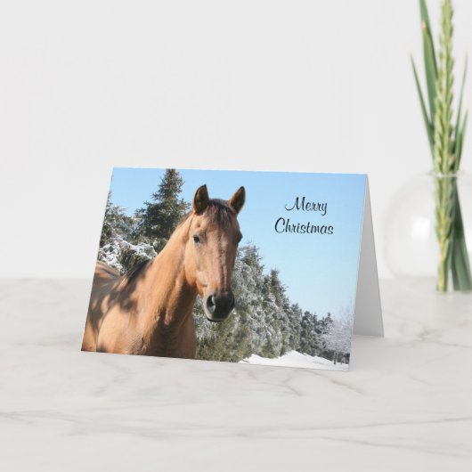 Cartes Pour Fêtes Annuelles Joyeux cheval de Noël (Devant)