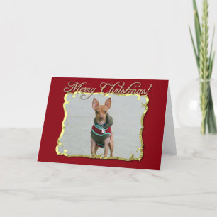 Cartes Pour Fêtes Annuelles Joyeux chien Chihuahua de Noël