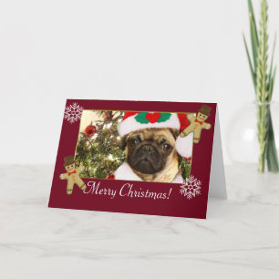 Cartes Pour Fêtes Annuelles Joyeux chien de carlin de Noël