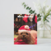 Cartes Pour Fêtes Annuelles Joyeux chien de Noël (Debout devant)