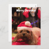 Cartes Pour Fêtes Annuelles Joyeux chien de Noël (Devant / Derrière)
